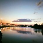 ทำเลค้าขาย-ตลาดโคยกี๊-03