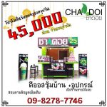 ทำเลค้าขาย-ชาดอย04