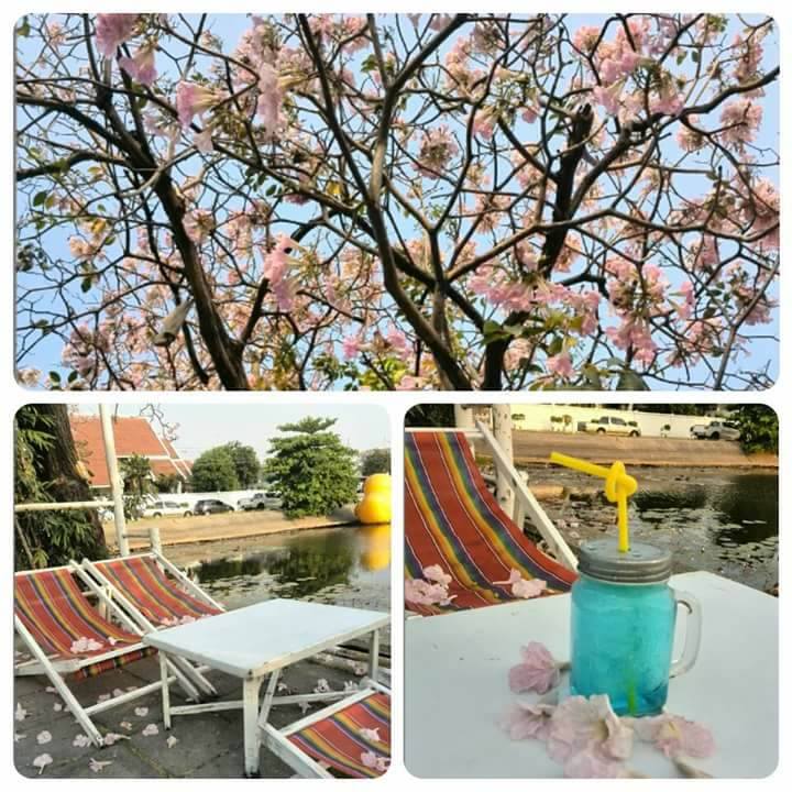 22278870_1682266538482303_568436171_n ต้องการผู้ร่วมทุน ร้าน Chill House เมืองทองธานี