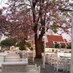 22279268_1682267771815513_888449667_o