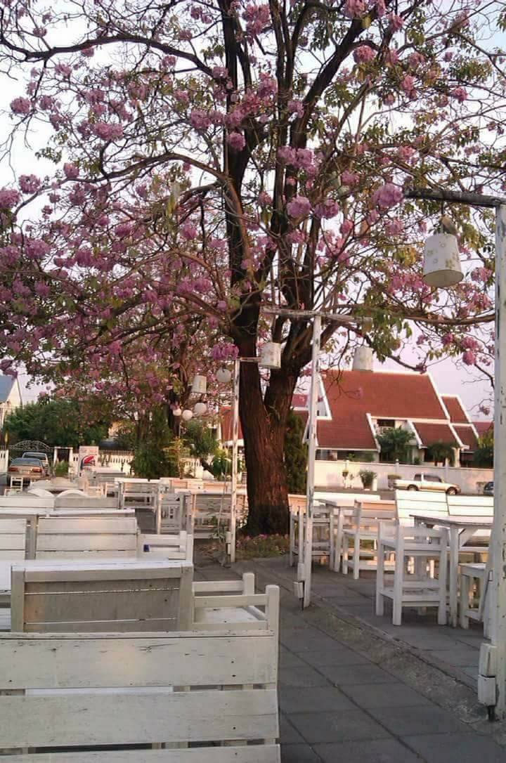 22279268_1682267771815513_888449667_o ต้องการผู้ร่วมทุน ร้าน Chill House เมืองทองธานี