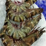 ทำเลค้าขาย วีอาร์ซีฟู๊ด21