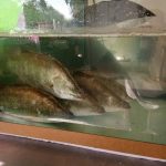 ทำเลค้าขาย วีอาร์ซีฟู๊ด25