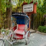 สวนประเพณี-5