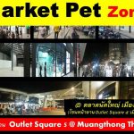 34640483_1684971878285585_6529652824651857920_n