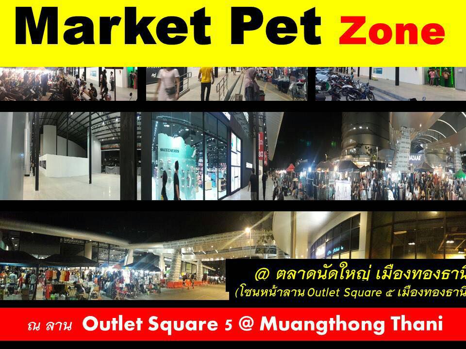 34640483_1684971878285585_6529652824651857920_n Market Pet Zone @ ตลาดนัดใหญ่ เมืองทองธานี เปิดจองพื้นที่