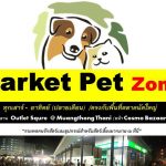 34642235_1684971804952259_1129722410556194816_n