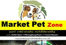 market pet zone