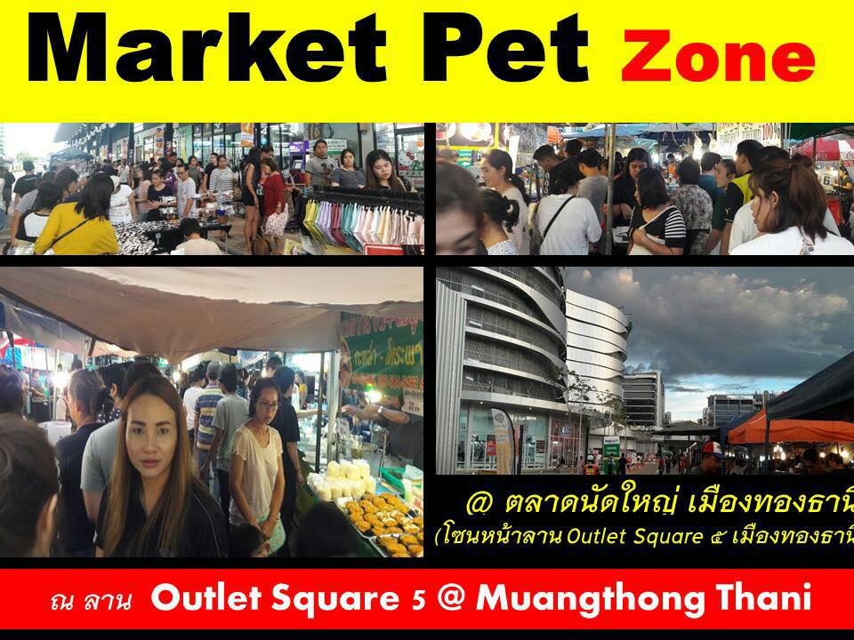 34790664_1684972654952174_167239253342814208_n Market Pet Zone @ ตลาดนัดใหญ่ เมืองทองธานี เปิดจองพื้นที่