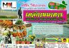 เทศการอาหาร