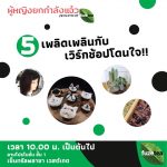 40854054_1045233338988007_7918389160753233920_n