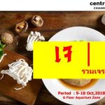 41344650_1992024560877454_4202147142858440704_n