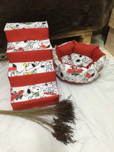 S__20594694-225x300 S__20594694
