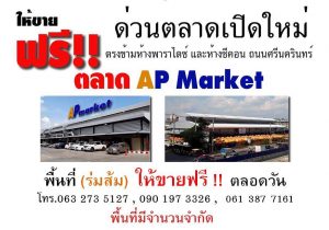 ap06-300x210 ap06