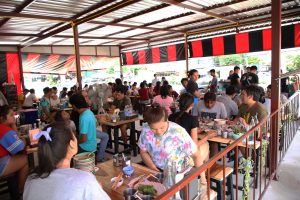 ไทรน้อย3-300x200 ไทรน้อย3