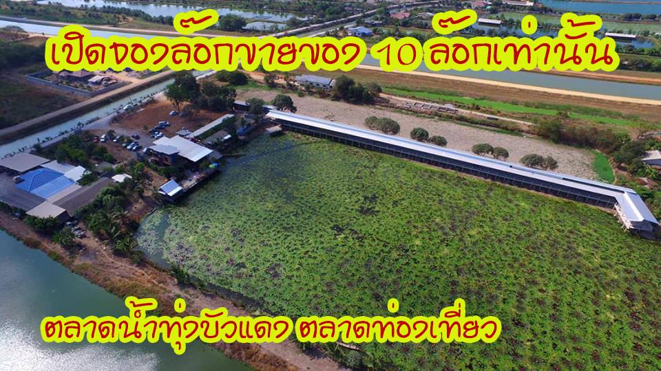ทุ่งบัวแดง03 ตลาดน้ำทุ่งบัวแดง ณ บางเลน เปิดจองล็อกเพิ่ม 10 ล็อก