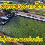 ทุ่งบัวแดง03