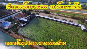 ทุ่งบัวแดง03-300x169 ทุ่งบัวแดง03