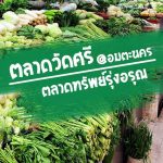 ตลาดทรัพย์อรุณ_1