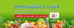 ตลาดเทพนิมิตรปก-300x113 ตลาดเทพนิมิตรปก