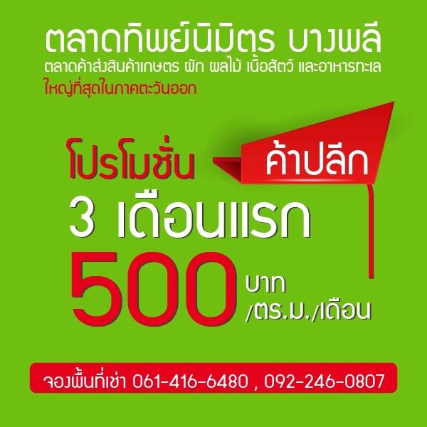 โปรโมชั่น ตลาดทิพย์นิมิตร บางพลี เป็นตลาดค้าส่ง รับแผงค้าด่วน จำนวนจำกัด