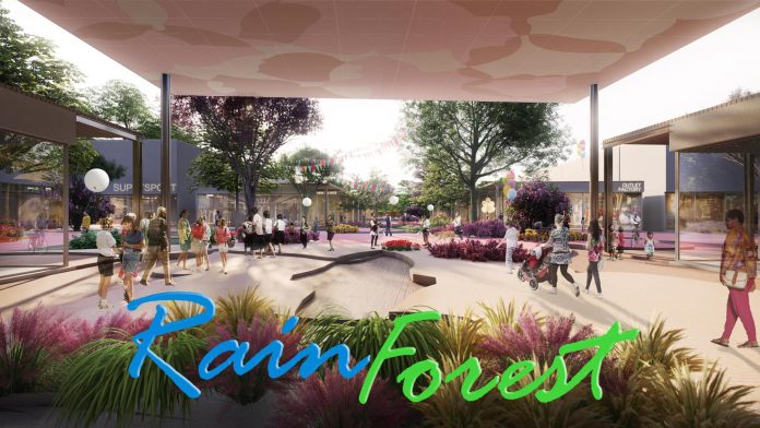 rain-forest08